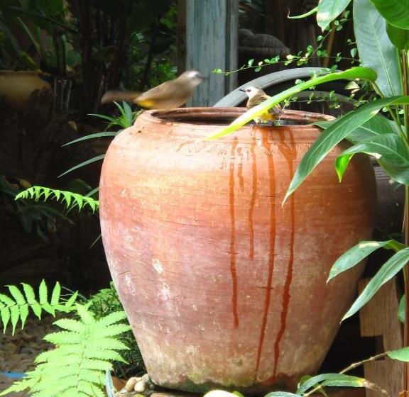 펜션 P.y. Guest House