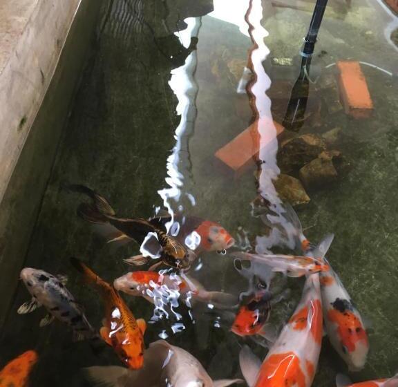 بنسيون Siam Guesthouse