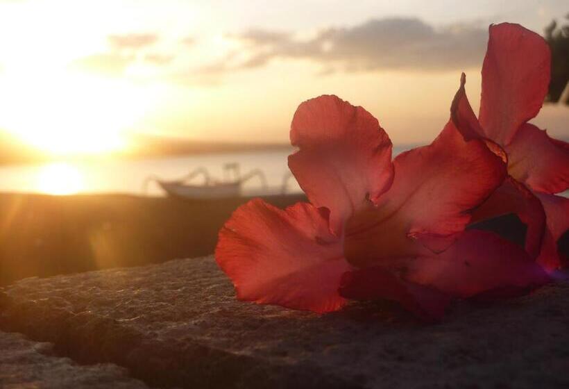 ペンション Tambun Sari Beach Homestay