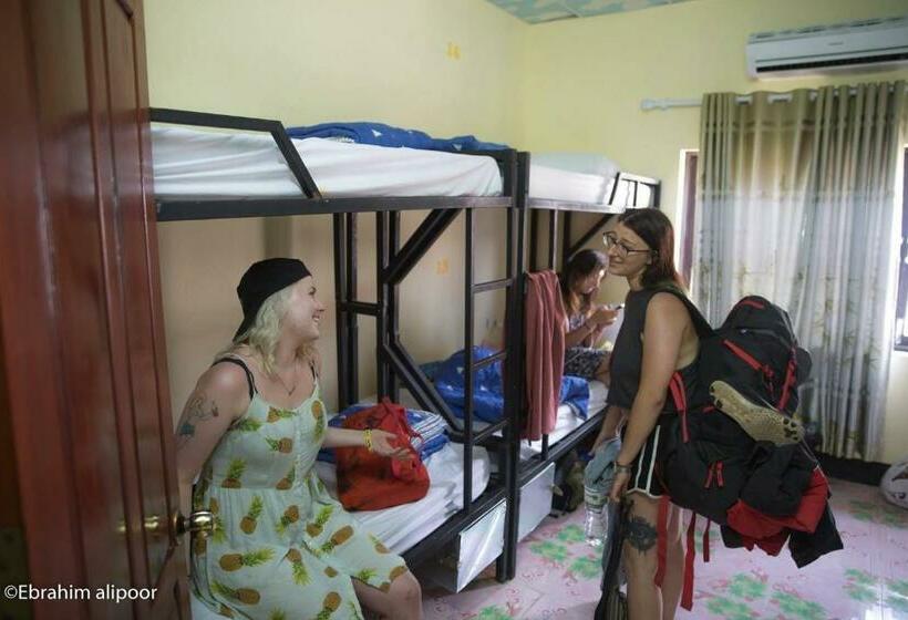 هاستل Ali Local Home