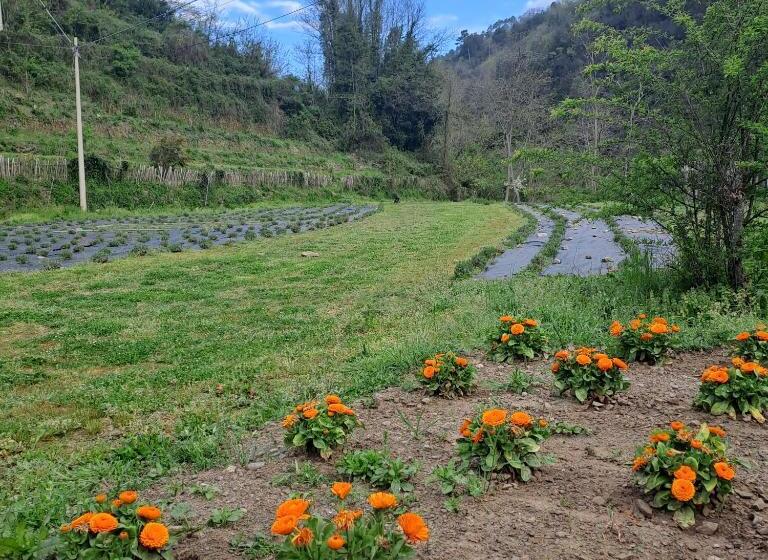 B&b La Casina Rosa La Spezia