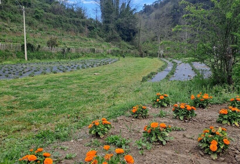 B&b La Casina Rosa La Spezia
