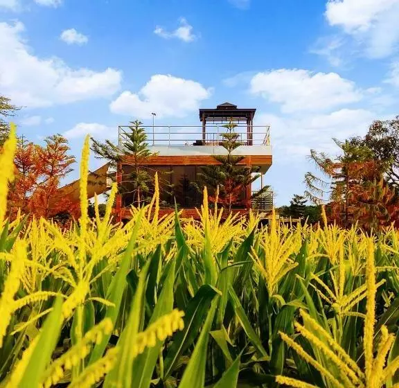 ホテル Villa Sa Bukid