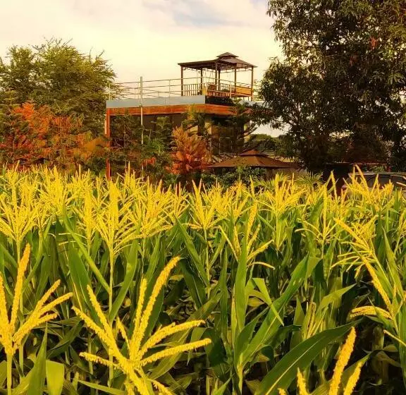 ホテル Villa Sa Bukid