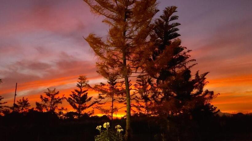 Hotel Villa Sa Bukid