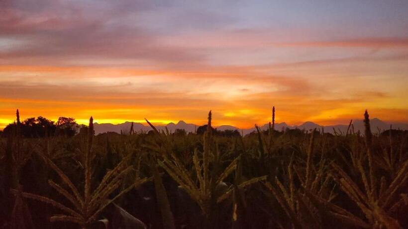 Hotel Villa Sa Bukid