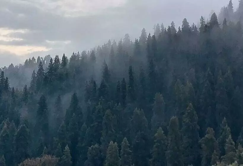 Hotelli The Himalayan Deodar