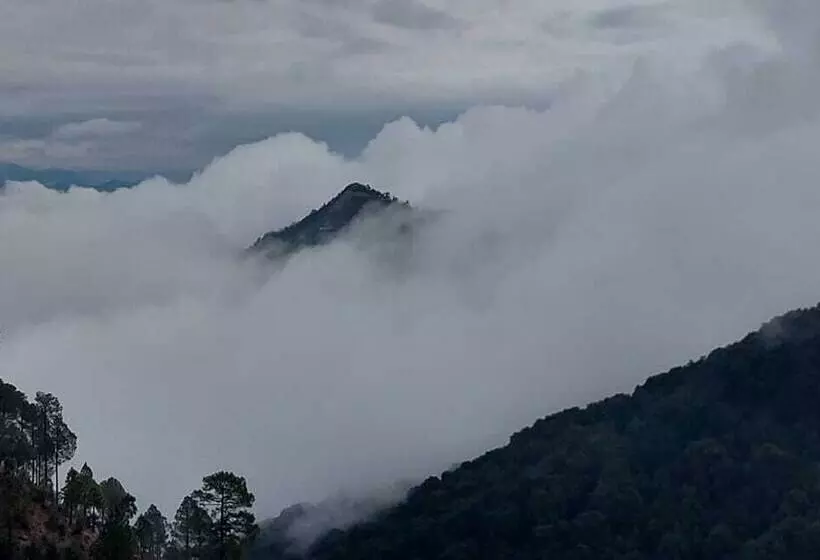 Hotelli The Himalayan Deodar