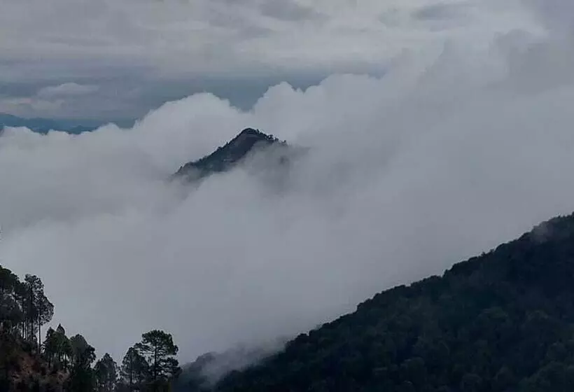 Hotelli The Himalayan Deodar