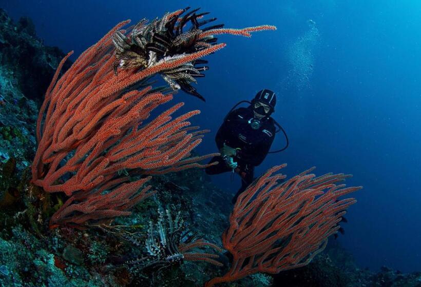 K2 Lembeh Dive Resort