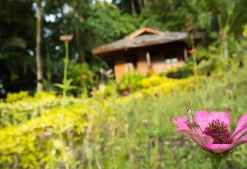 K2 Lembeh Dive Resort
