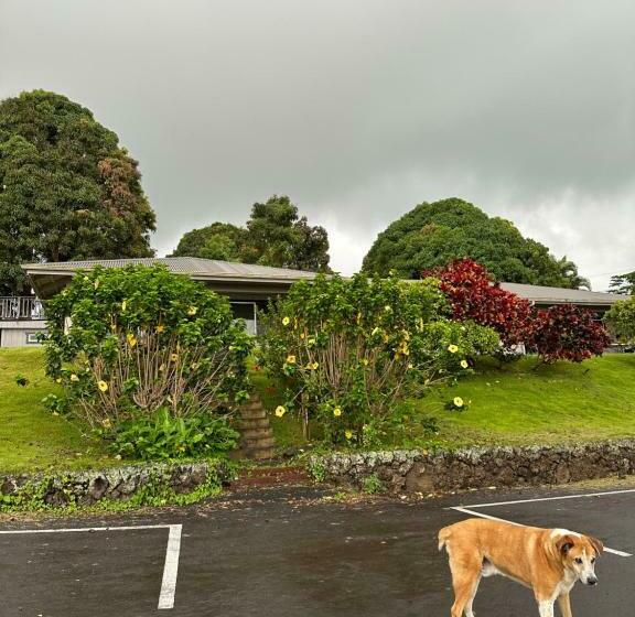 펜션 Nohokai At Kona Joe Coffee Farm