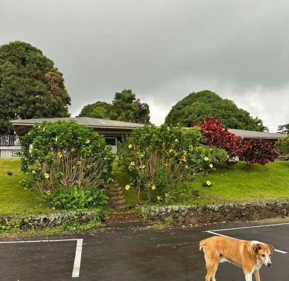 Majatalo Nohokai At Kona Joe Coffee Farm