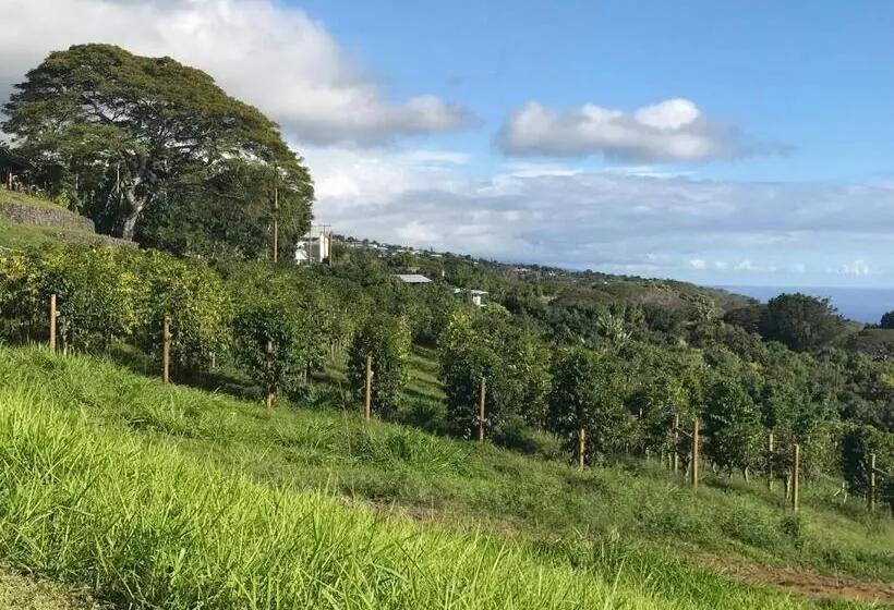 Majatalo Nohokai At Kona Joe Coffee Farm