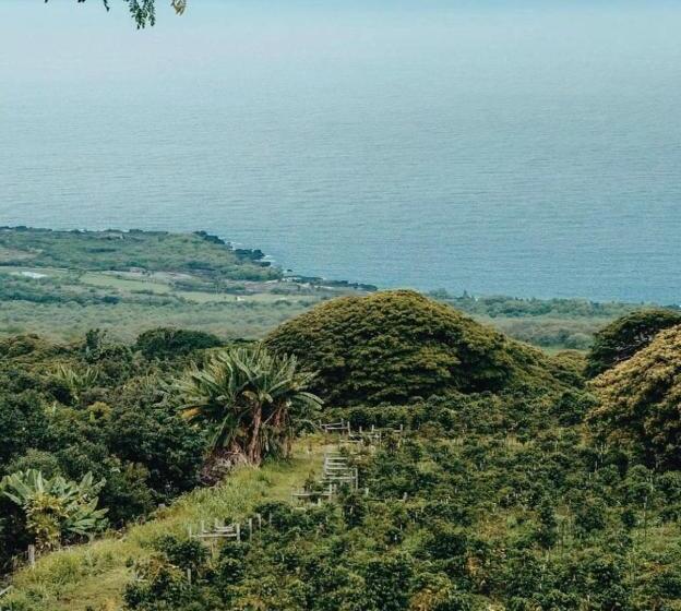 펜션 Nohokai At Kona Joe Coffee Farm