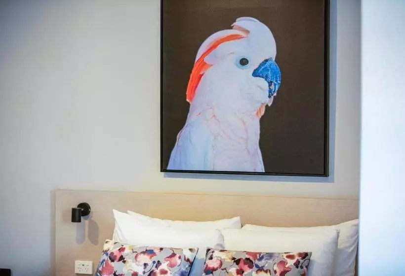 הוסטל Nightcap At The Charles