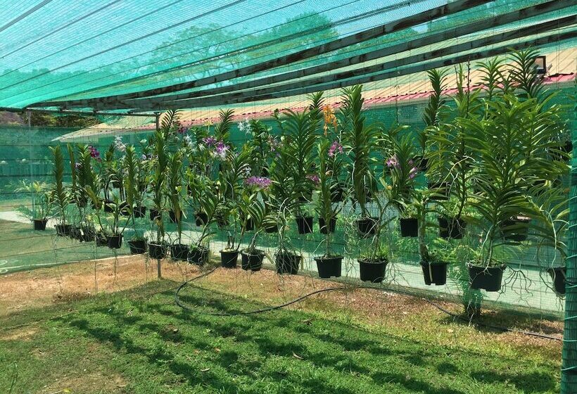 Green Village Langkawi Resort