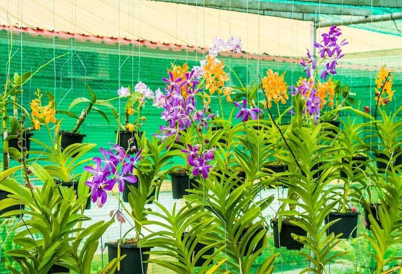 Green Village Langkawi Resort