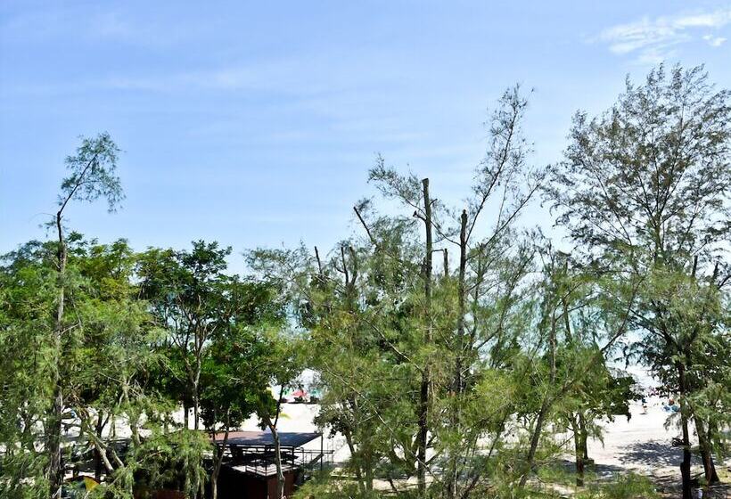 酒店 Cenang Plaza Beach