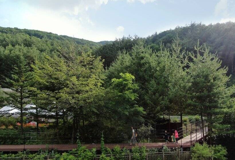 Hôtel Jeongseon Mayhills Resort