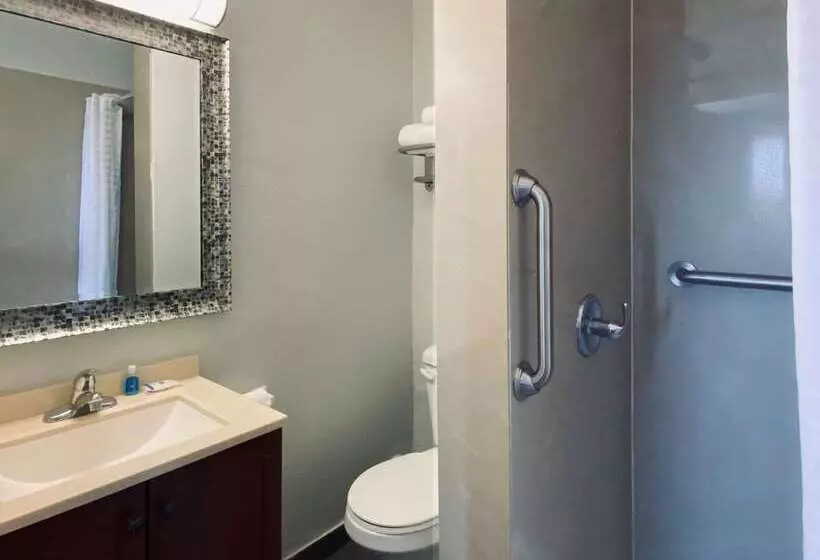 ホテル Rodeway Inn Old Town Scottsdale