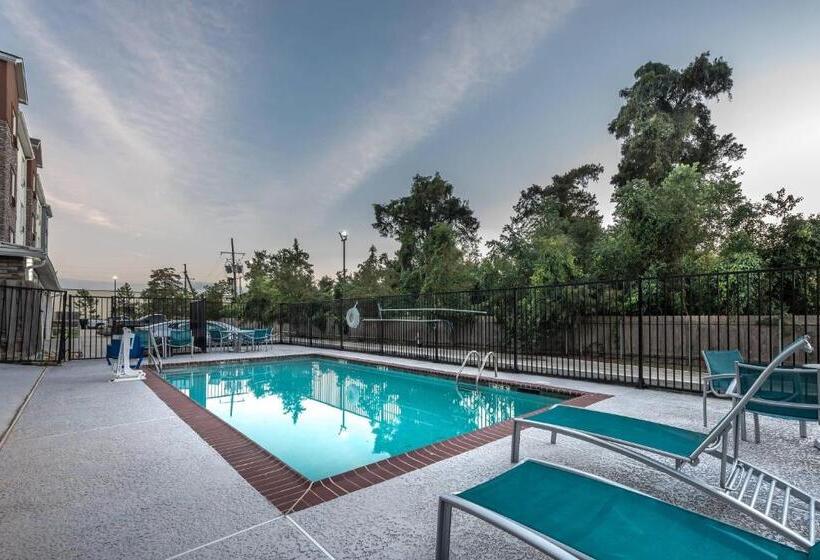 酒店 Towneplace Suites By Marriott New Orleans Harvey/west Bank