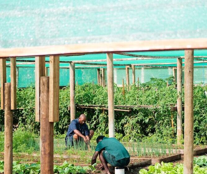 فندق Viwa Island Resort