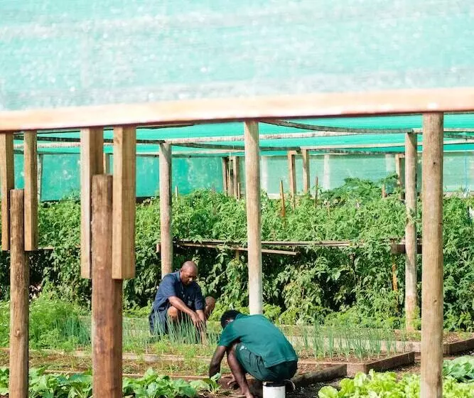 בית מלון כפרי Viwa Island Resort