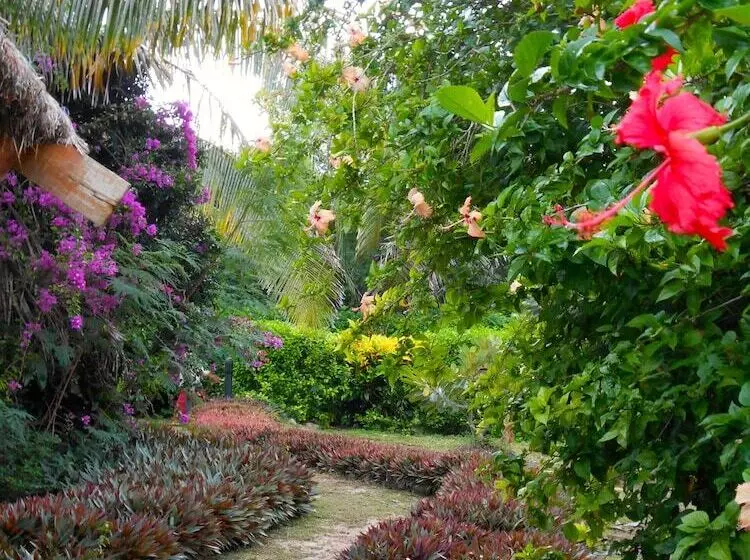 בית מלון כפרי Viwa Island Resort