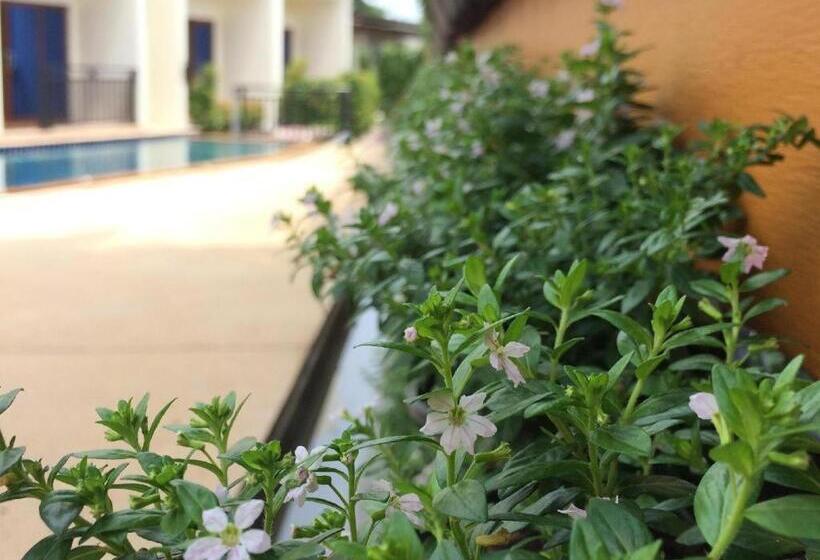 פנסיון Green View Beach Resort