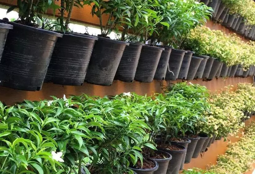 膳宿费 Green View Beach Resort