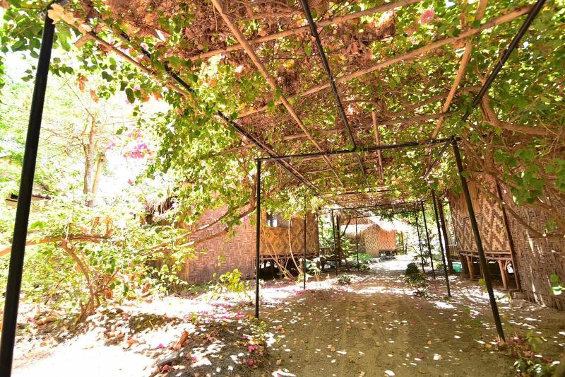 פנסיון Green View Beach Resort