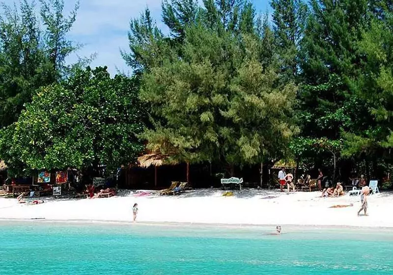 膳宿费 Green View Beach Resort