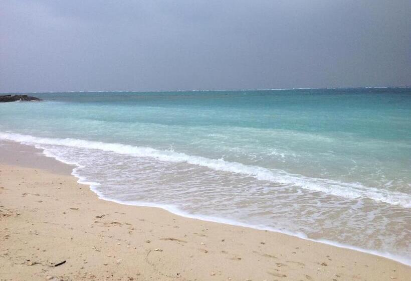 Pensão Milk Ya Women Only Guest House