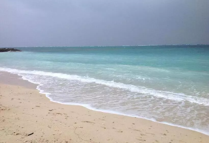 Пансион Milk Ya Women Only Guest House