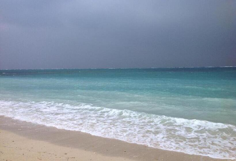 Pensão Milk Ya Women Only Guest House