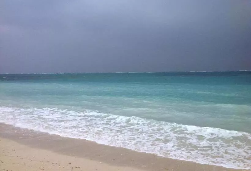 Пансион Milk Ya Women Only Guest House