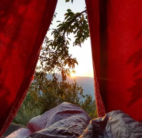 Aamiaismajoitus (B&B) @gatetothewild