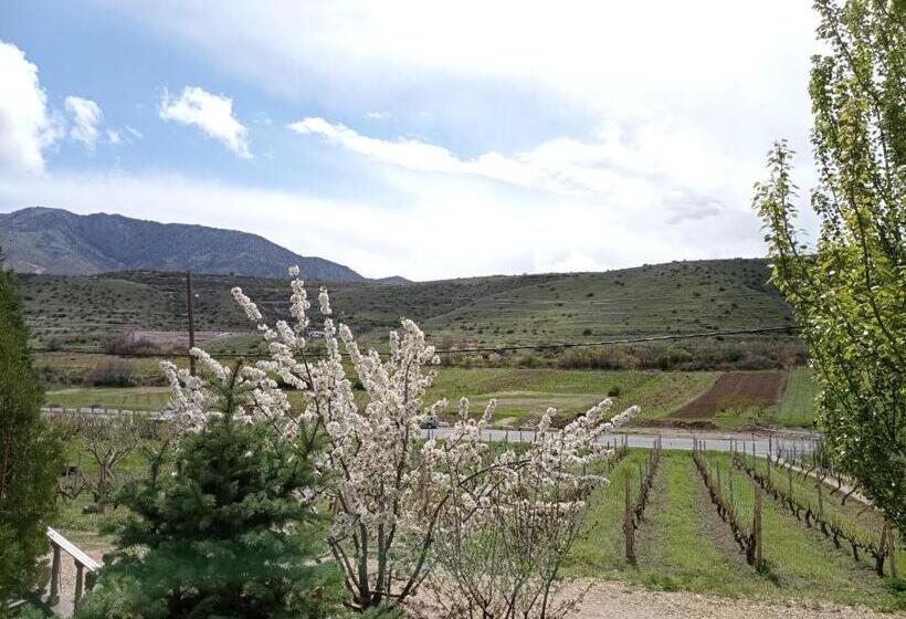 تختخواب و صبحانه Luiza Guest House