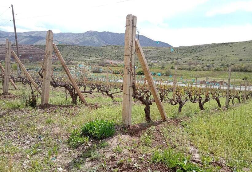 تختخواب و صبحانه Luiza Guest House