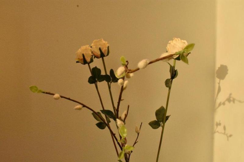 Dream Residence Olaya Khobar