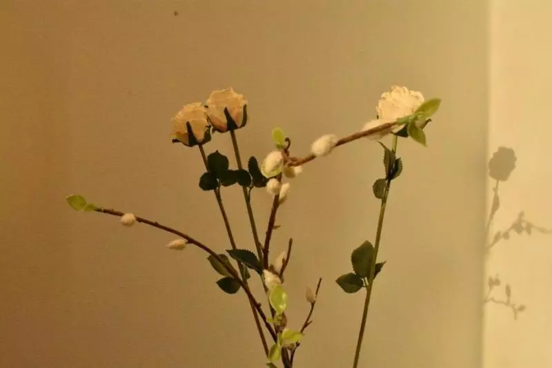 Dream Residence Olaya Khobar