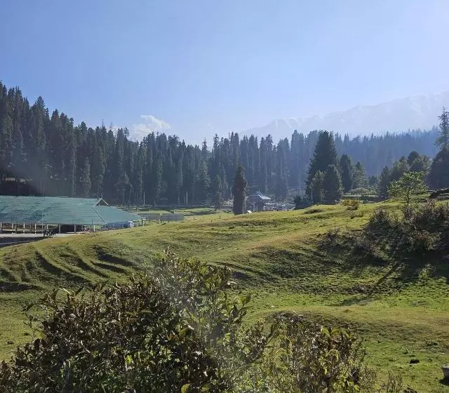 ホテル Gulmarg Woods By Stay Pattern
