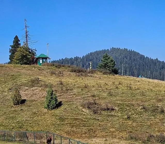 ホテル Gulmarg Woods By Stay Pattern