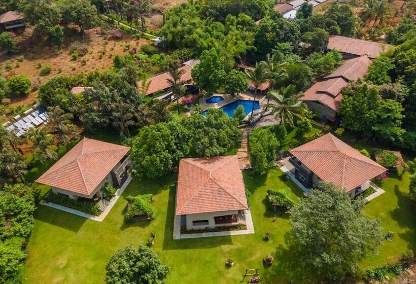 Отель Malhar Machi Mountain Resorts