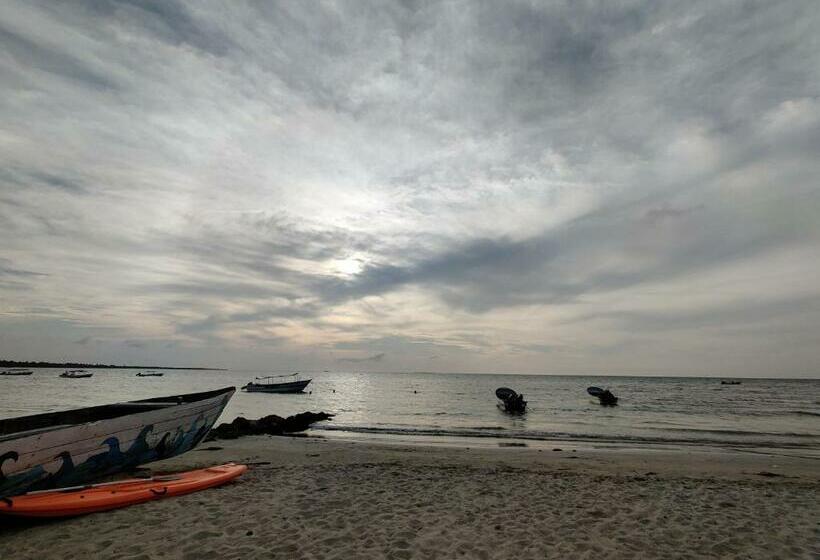 پانسیون Cabaña Villa Eugenia