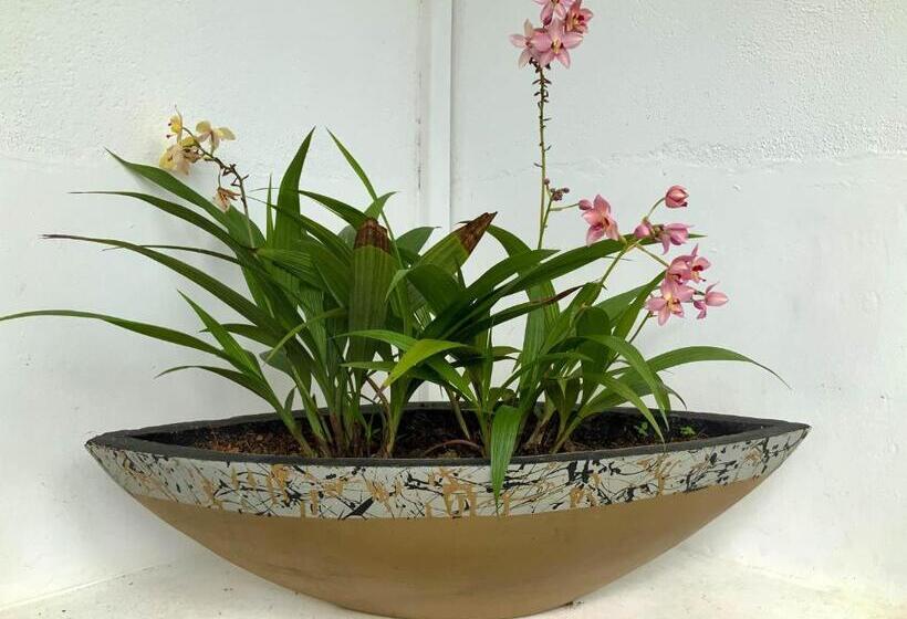 Chill River Villa Villa With Scenic River Views