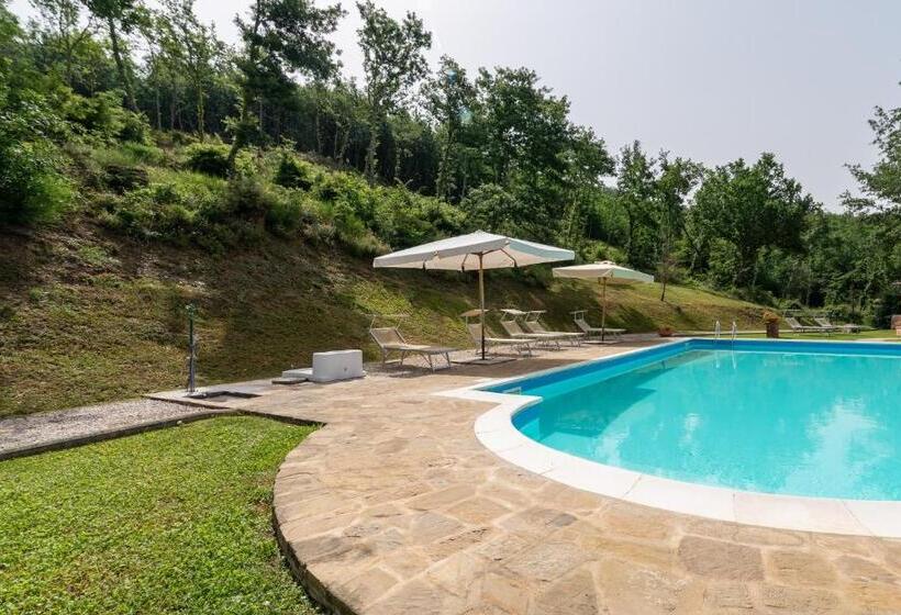 酒店 Pugnano Alto  Appartamento Castagna