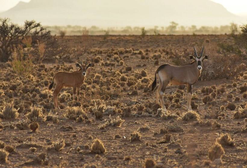 Отель Solitaire Lodge