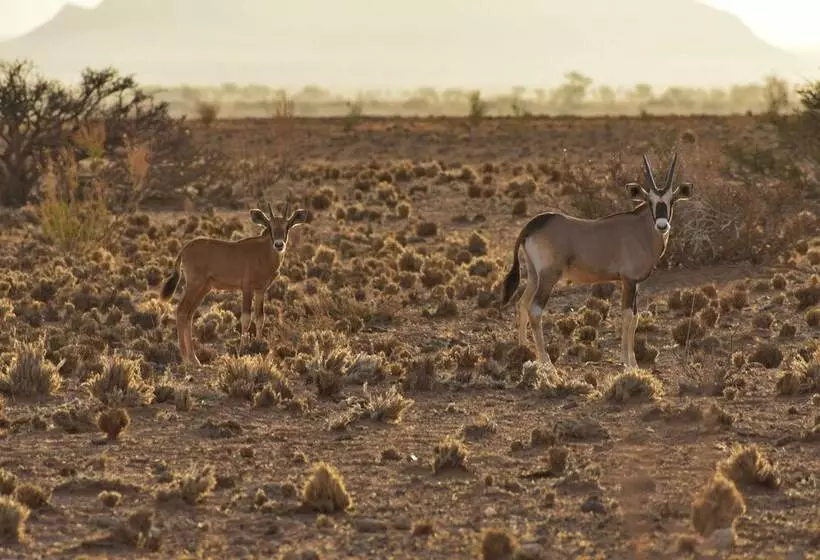 Hotelli Solitaire Lodge
